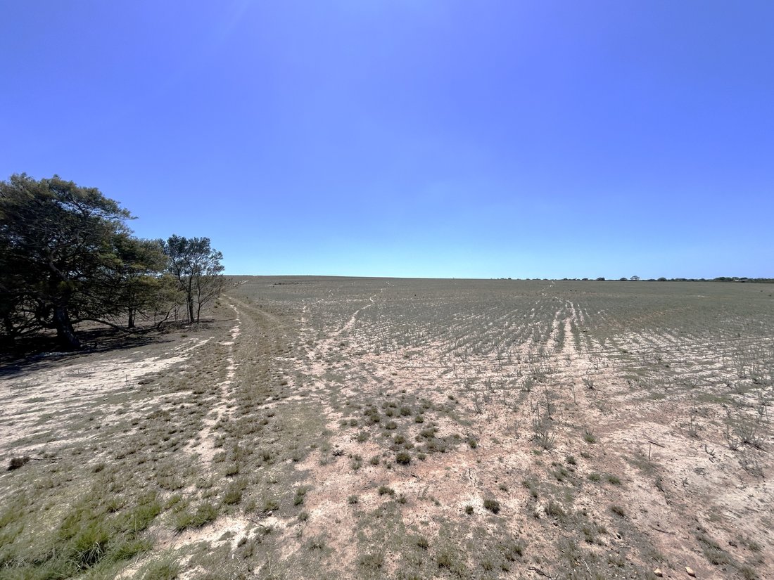 Land in Saint Francis Bay, Eastern Cape, South Africa 4 - 16999542