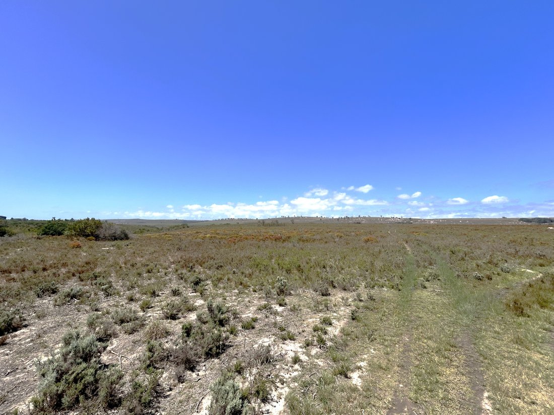 Land in Saint Francis Bay, Eastern Cape, South Africa 5 - 16999542