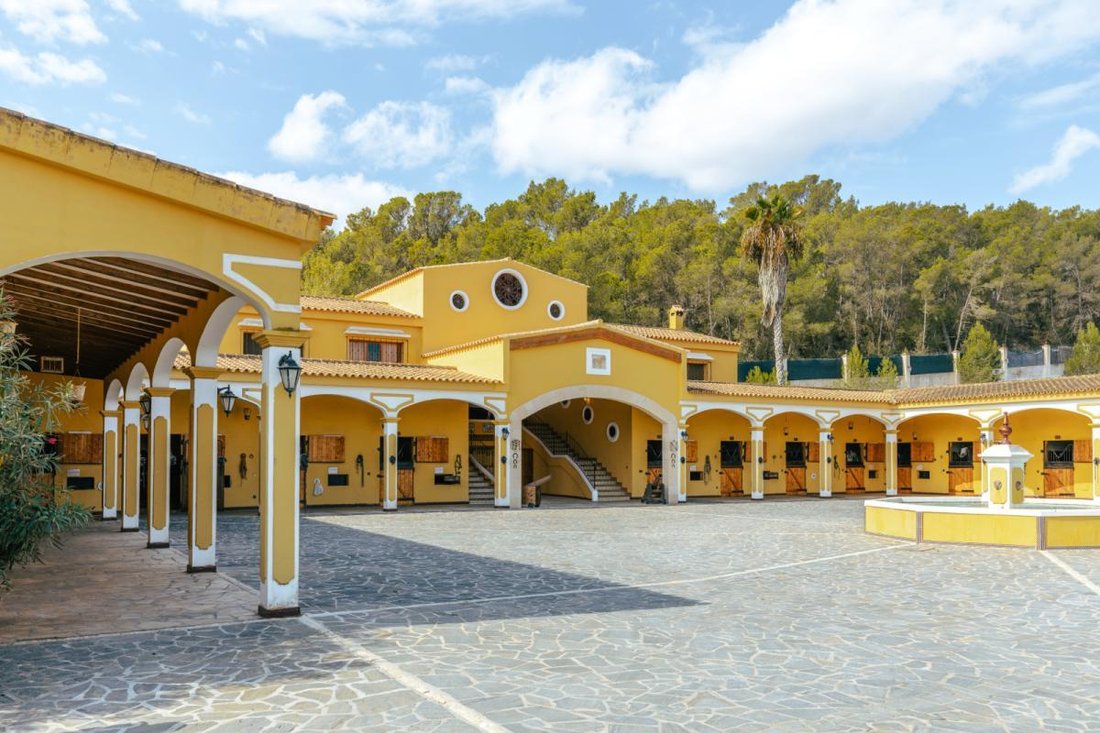 House in Sant Rafel de sa Creu, Sant Antoni de Portmany, Balearic Islands 4 - 16989854
