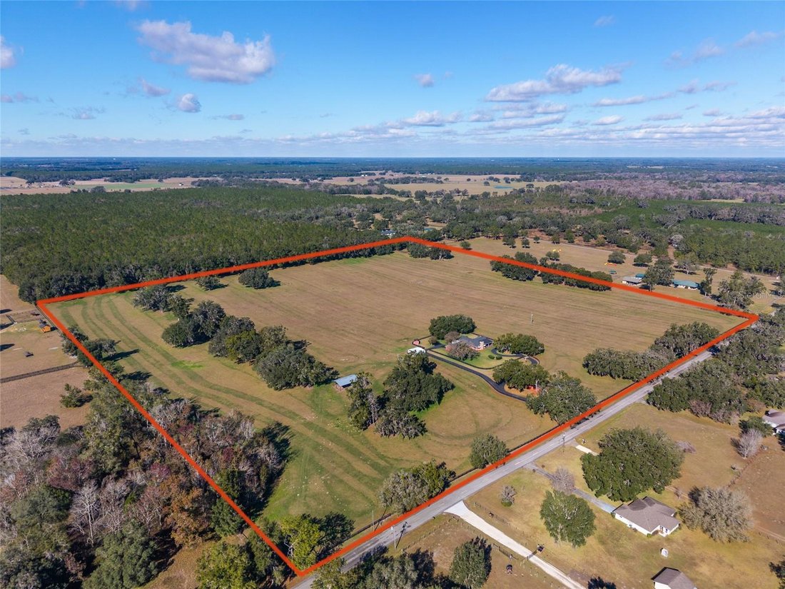 Farm Ranch in Morriston, Florida, United States 1 - 17002828