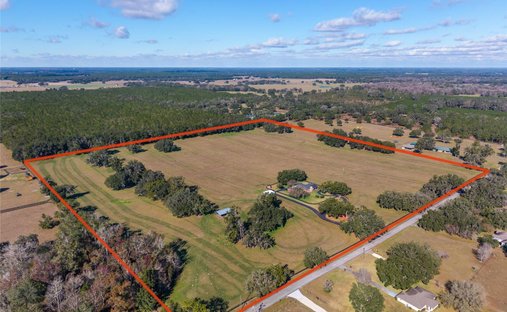 Farm Ranch in Morriston, Florida, United States 1