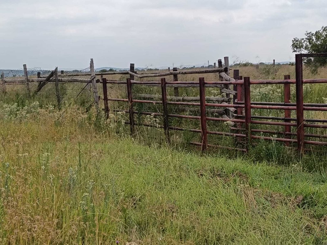 Farm Ranch in Potchefstroom, North West, South Africa 4 - 16991338
