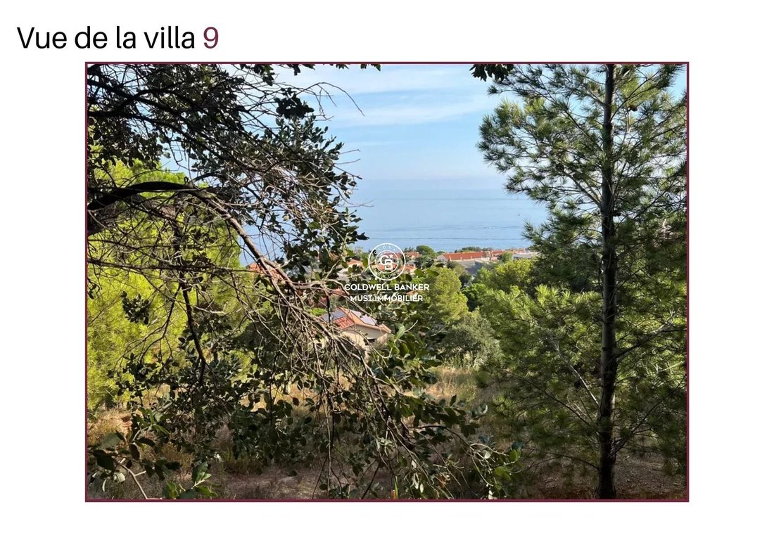 Villa in Ouest, Banyuls-sur-Mer, France 2 - 16554679