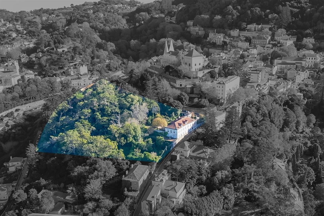 Farm Ranch in Sintra, Lisbon, Portugal 4 - 17000886