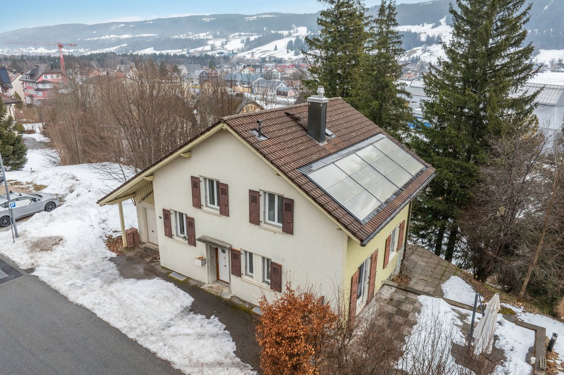 Detached 6.5 Room House With Garden, Terrace And Great Potential