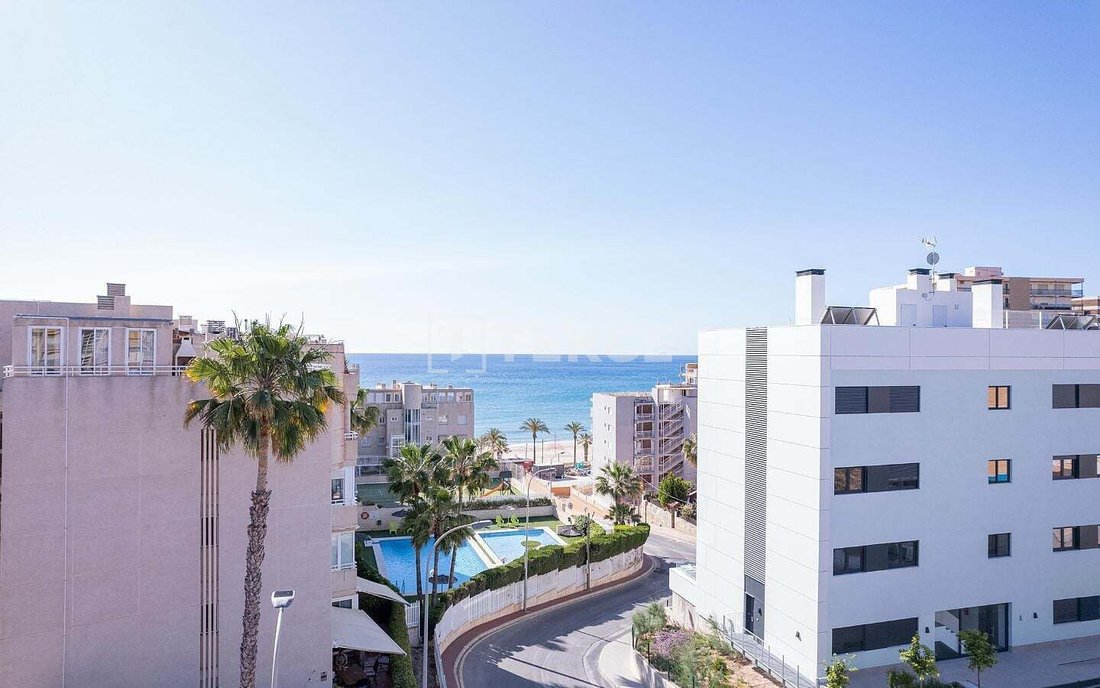 Apartment in el Campello, Valencian Community, Spain 4 - 16993614