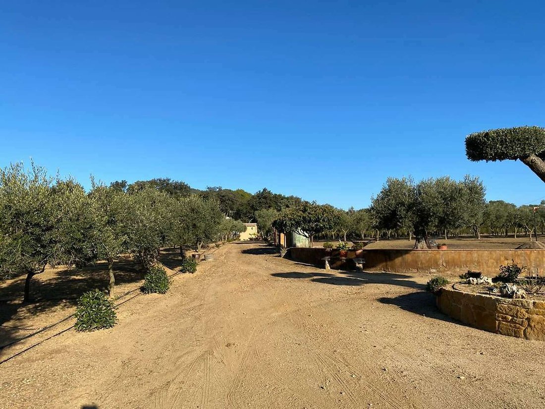 Land in Mont-ras, Catalonia, Spain 1 - 11954806