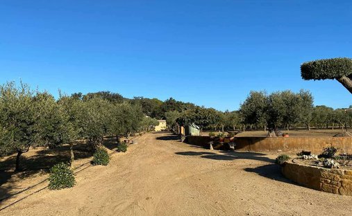 Land in Mont-ras, Catalonia, Spain 1