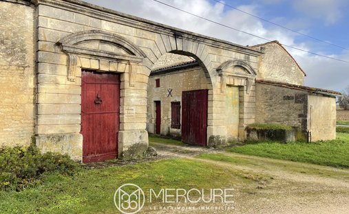 House in Jarnac, Nouvelle-Aquitaine, France 1