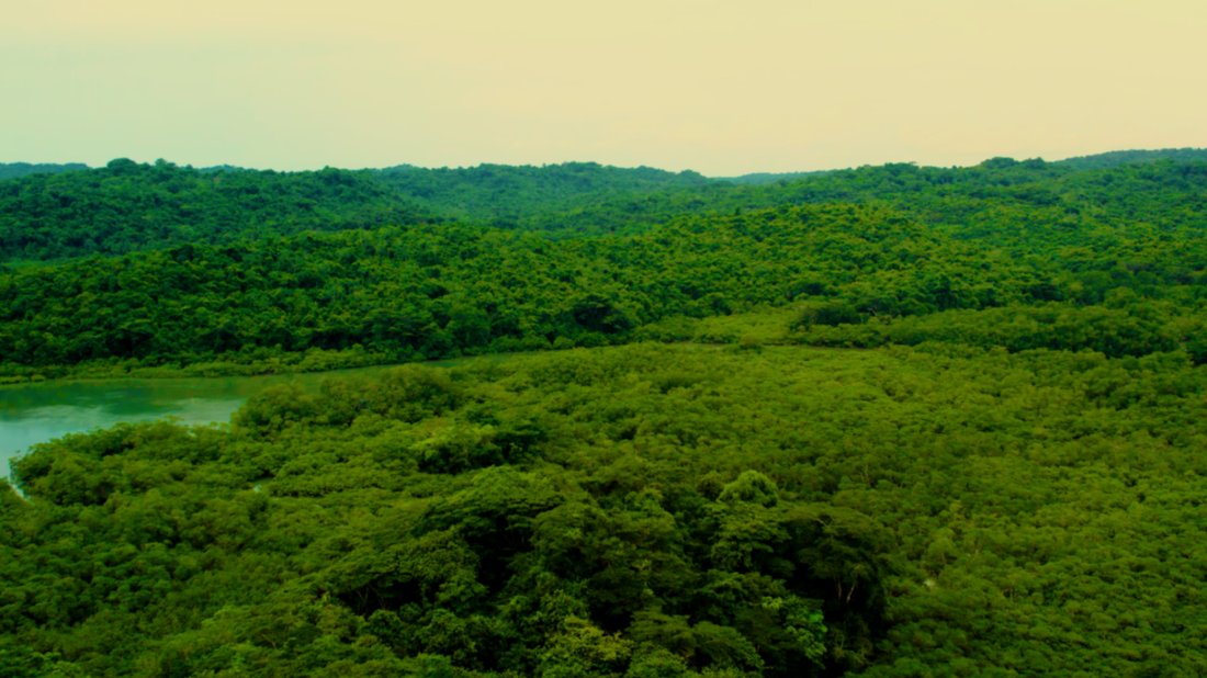 Land in Pedro González, Guna Yala Comarca, Panama 5 - 16998337