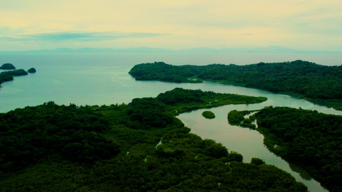 Land in Pedro González, Guna Yala Comarca, Panama 2 - 16998337