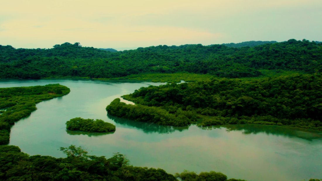 Land in Pedro González, Guna Yala Comarca, Panama 4 - 16998337