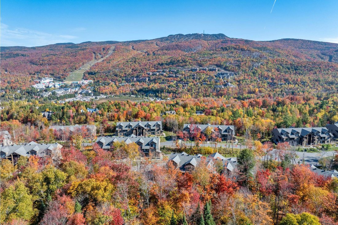 Condo in Mont-Tremblant, Quebec, Canada 1 - 16993249