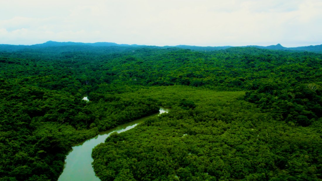 Land in Pedro González, Guna Yala Comarca, Panama 1 - 16998337
