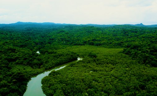 Land in Pedro González, Guna Yala Comarca, Panama 1