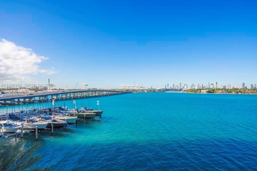 Condo in Miami Beach, Florida, United States 5 - 16993469