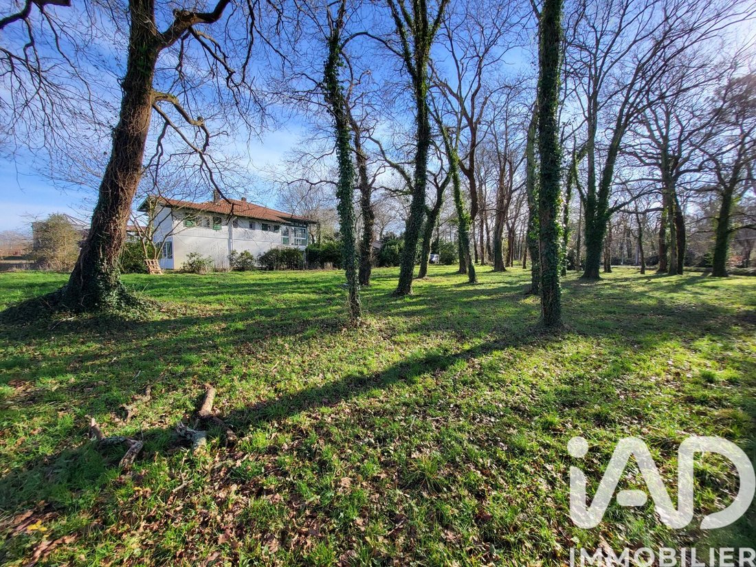 House in Saubrigues, Nouvelle-Aquitaine, France 4 - 16991813