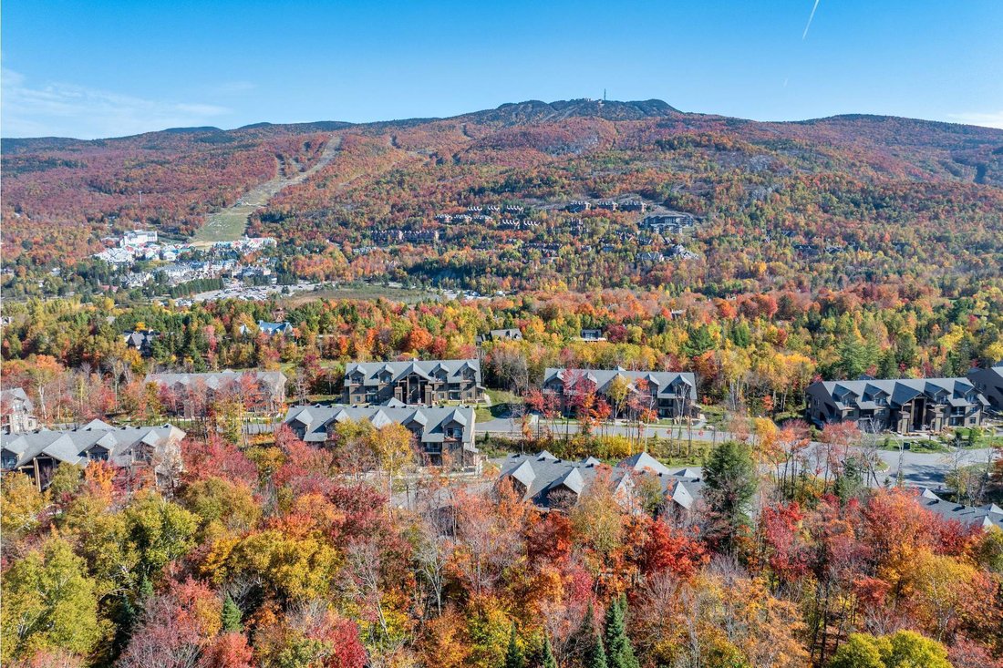 Condo in Mont-Tremblant, Quebec, Canada 1 - 16993250