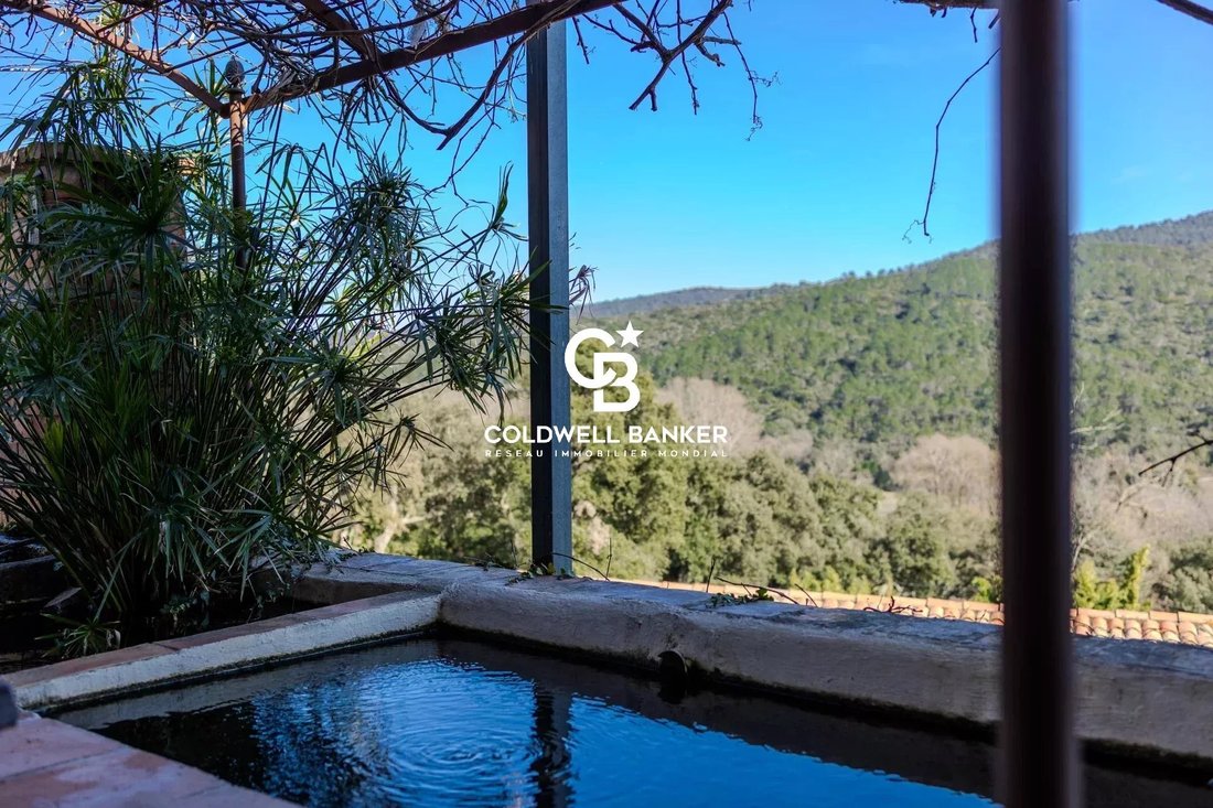 House in La Môle, Provence-Alpes-Côte d'Azur, France 4 - 16991045