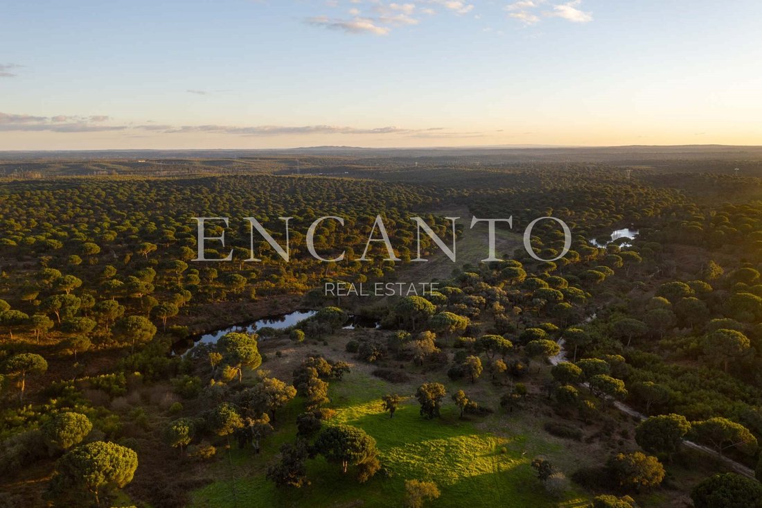 Estate in Vendas Novas, Évora District, Portugal 1 - 16995649