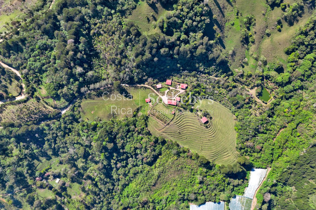 Farm Ranch in El Tejar del Guarco, El Guarco, Costa Rica 4 - 16987409