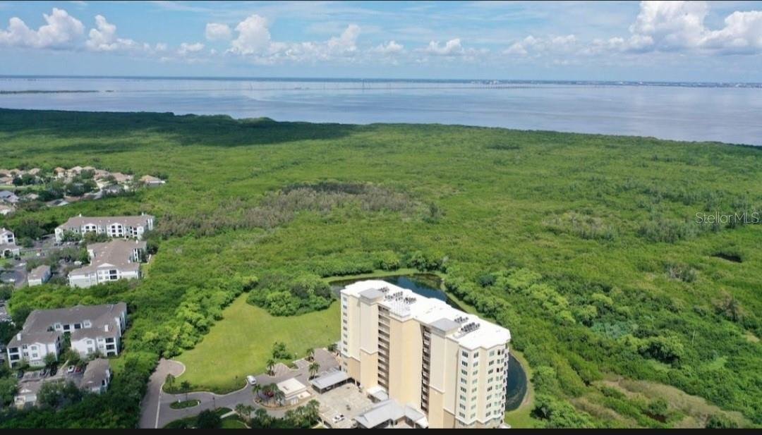 Terreno a St. Petersburg, Florida, Stati Uniti 3 - 16993889