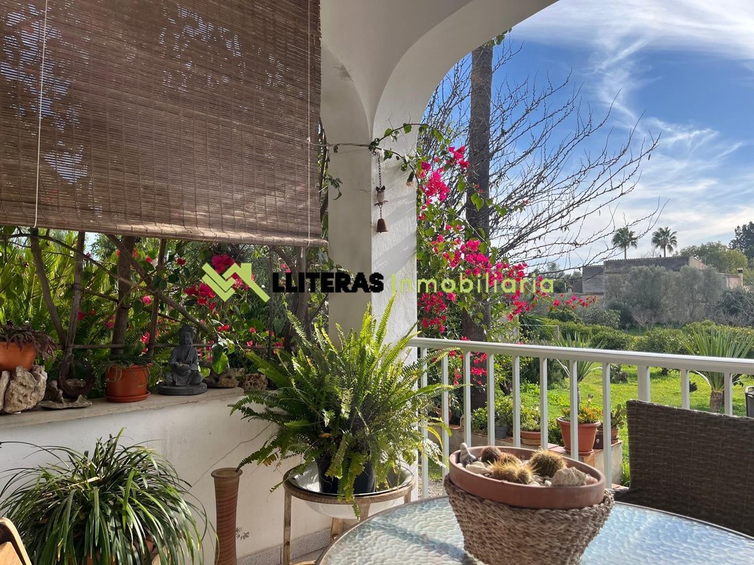 Country House in Inca, Balearic Islands, Spain 1 - 16992924