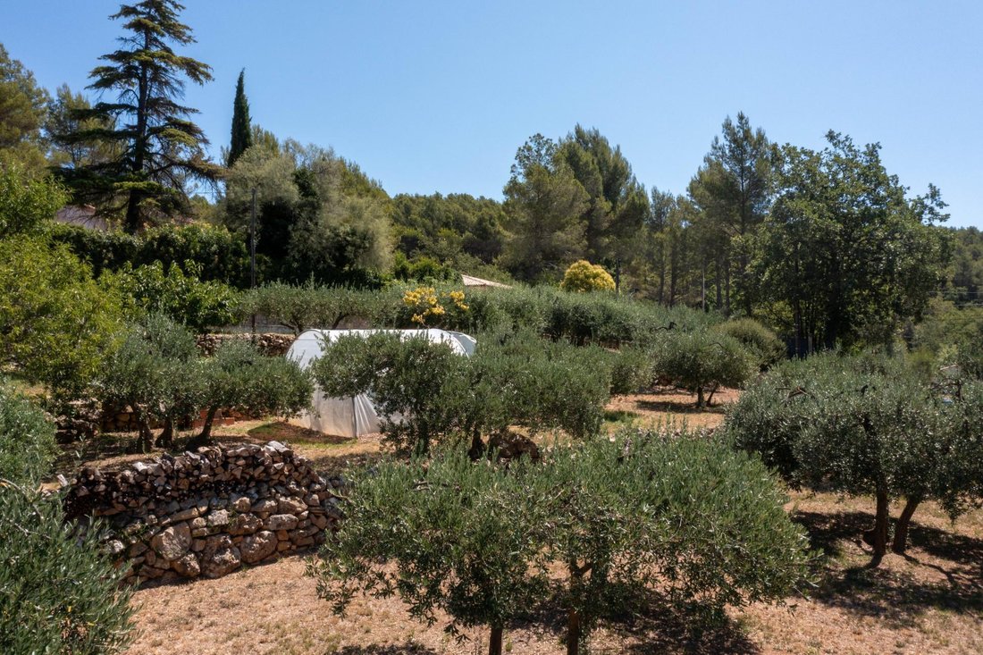 House in Saint Jaume, Draguignan, France 5 - 16991515