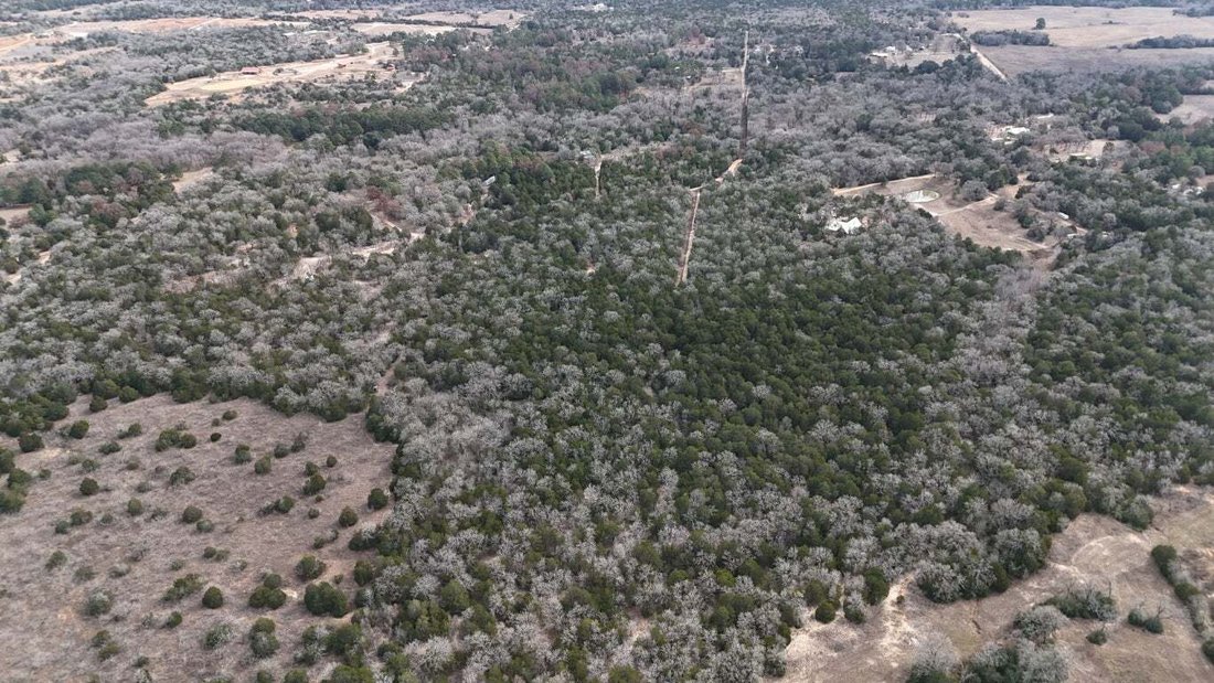 Farm Ranch in Bastrop, Texas, United States 2 - 16991191
