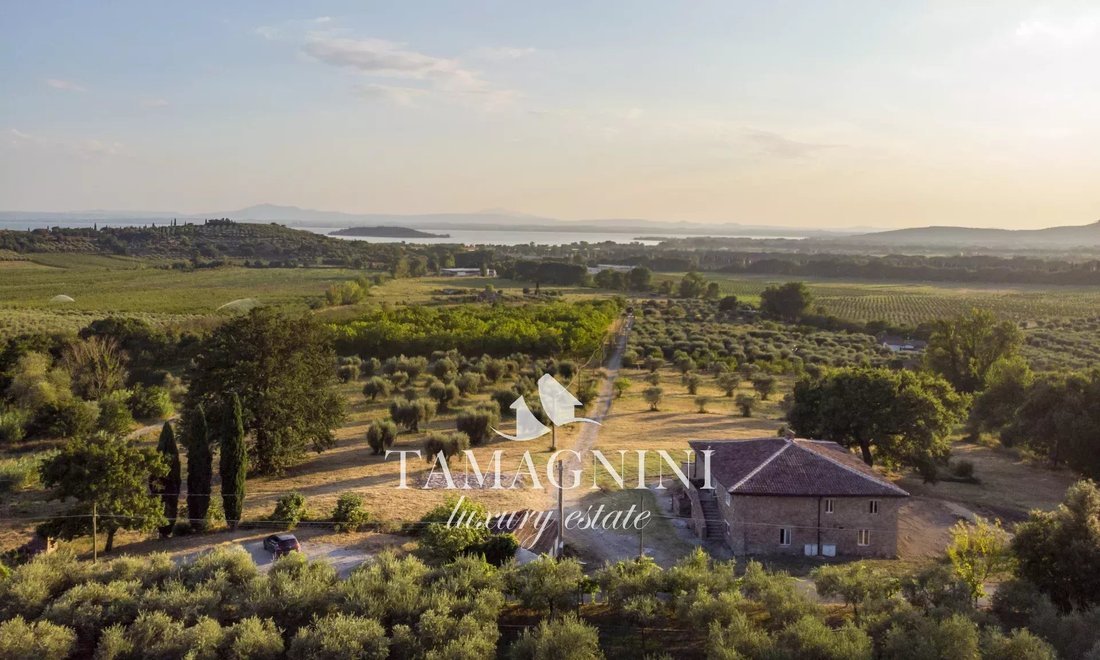 Passignano sul Trasimeno, Umbria, Italy 2 - 14763517