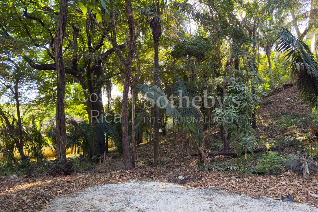 Land in Nosara, Nicoya, Costa Rica 2 - 16996377