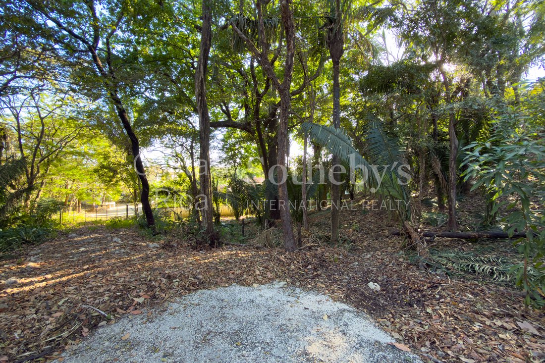 Land in Nosara, Nicoya, Costa Rica 3 - 16996377