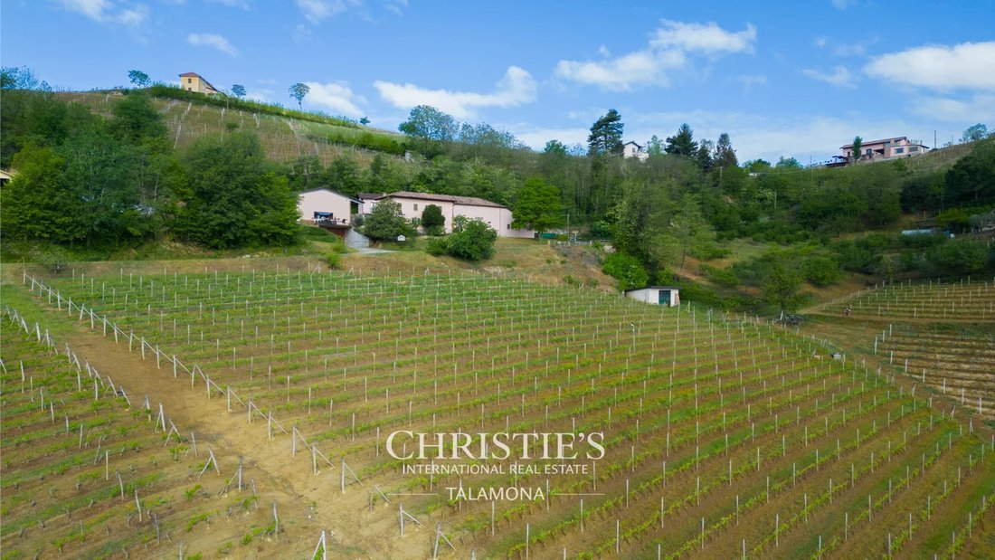 Estate in Canelli, Piedmont, Italy 4 - 16825000