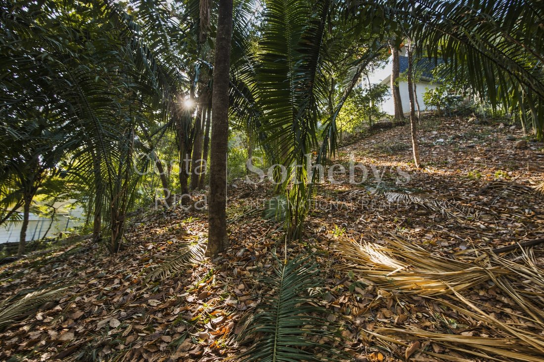 Land in Nosara, Nicoya, Costa Rica 4 - 16996377