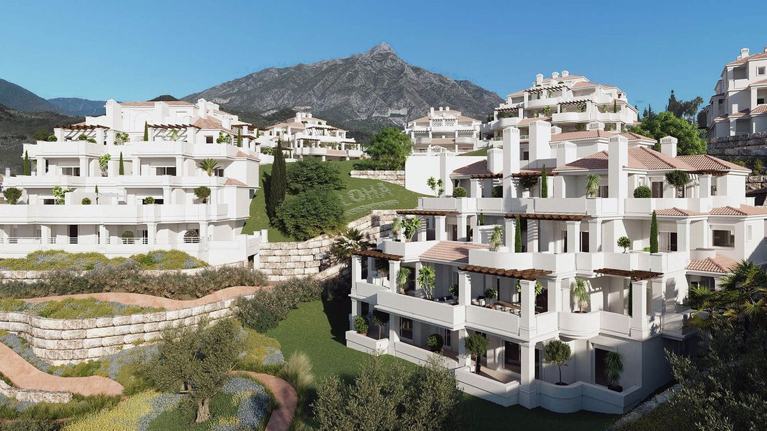 Apartment in Centro, Malaga, Spain 1 - 16994929