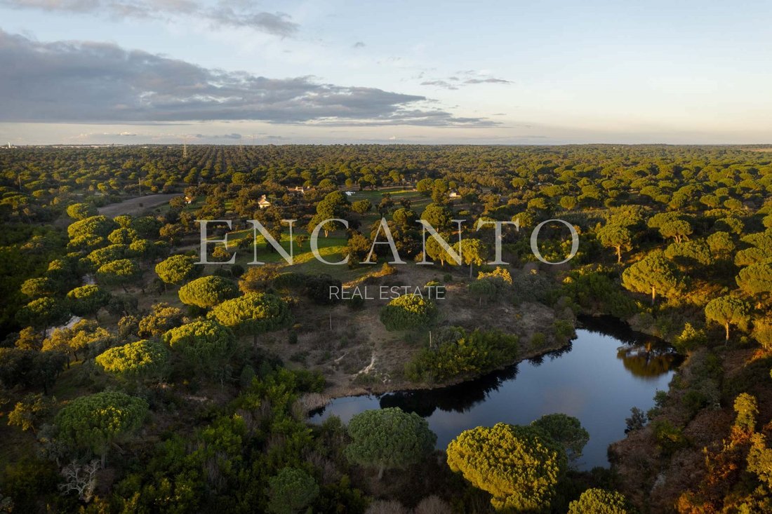 Estate in Vendas Novas, Évora District, Portugal 4 - 16995649