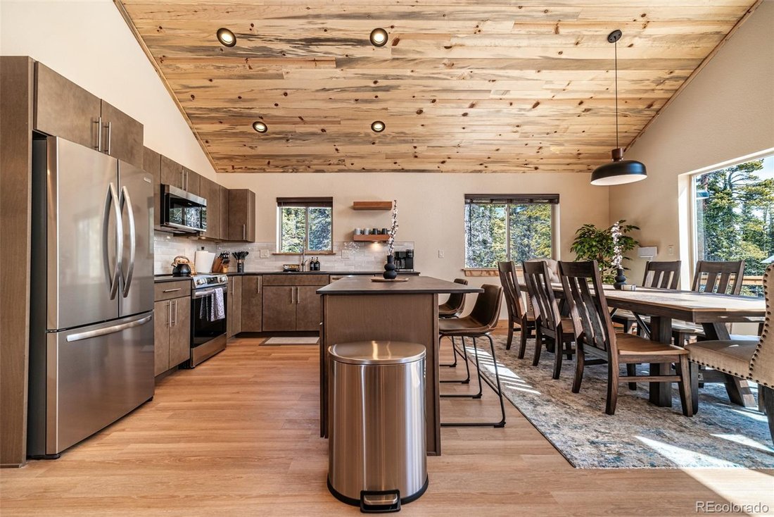 House in Alma, Colorado, United States 4 - 16992140