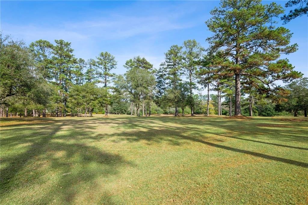 House in Franklinton, Louisiana, United States 5 - 16992226