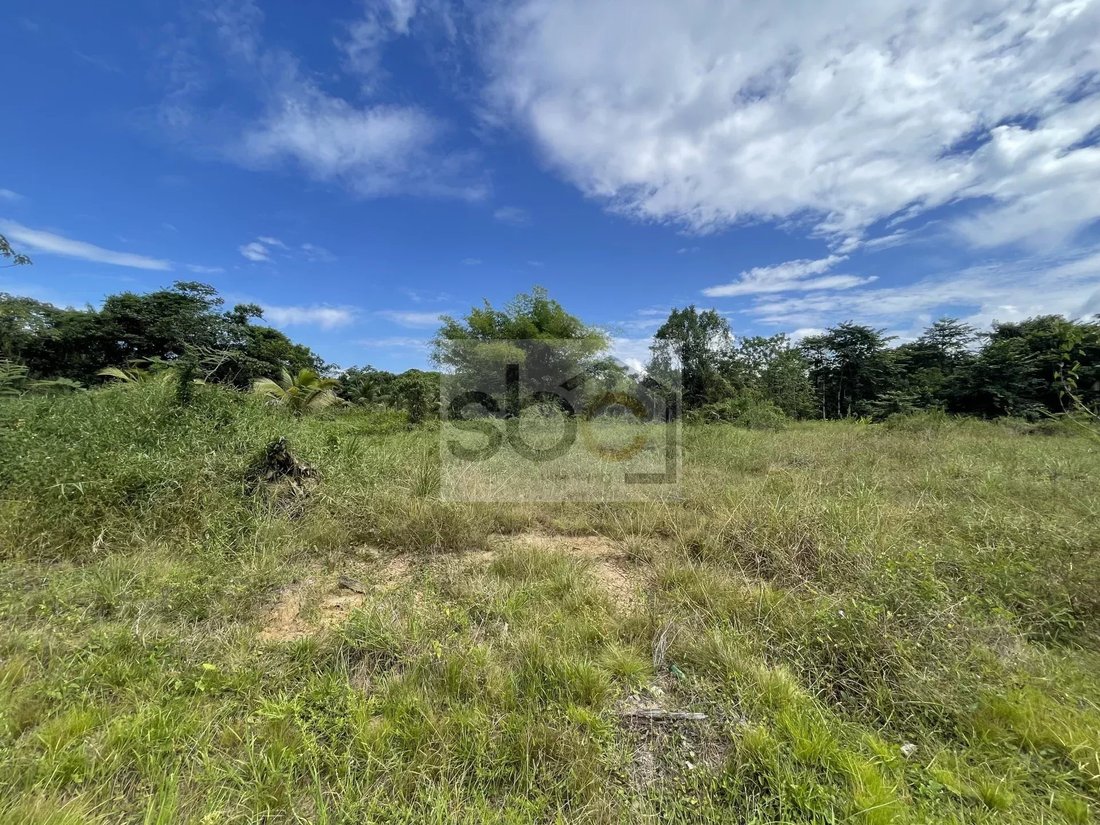 Land in Matoury, Arrondissement of Cayenne, French Guiana 2 - 16997080