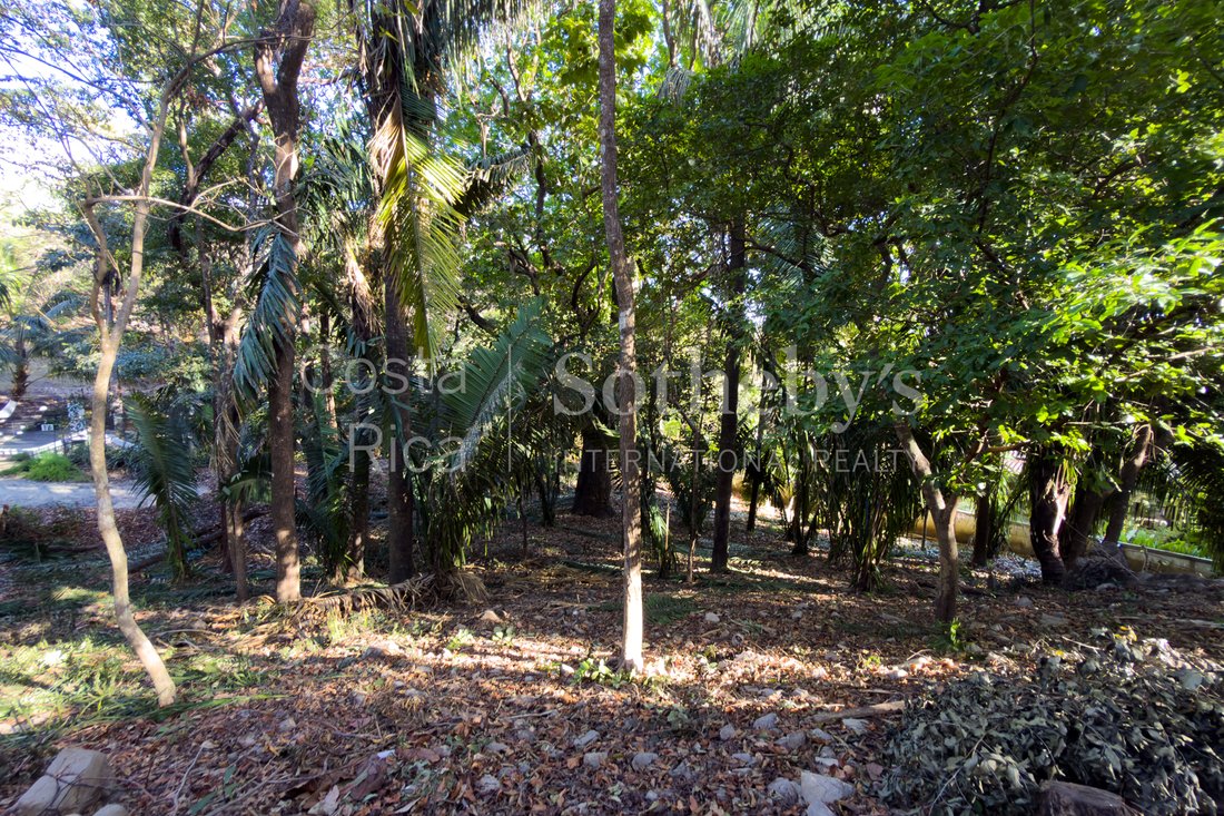 Land in Nosara, Nicoya, Costa Rica 5 - 16996377