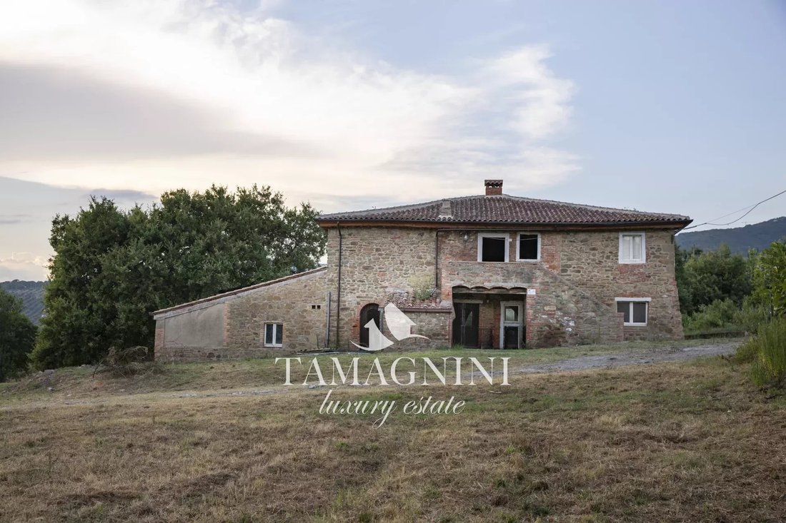 Passignano sul Trasimeno, Umbria, Italy 3 - 14763517