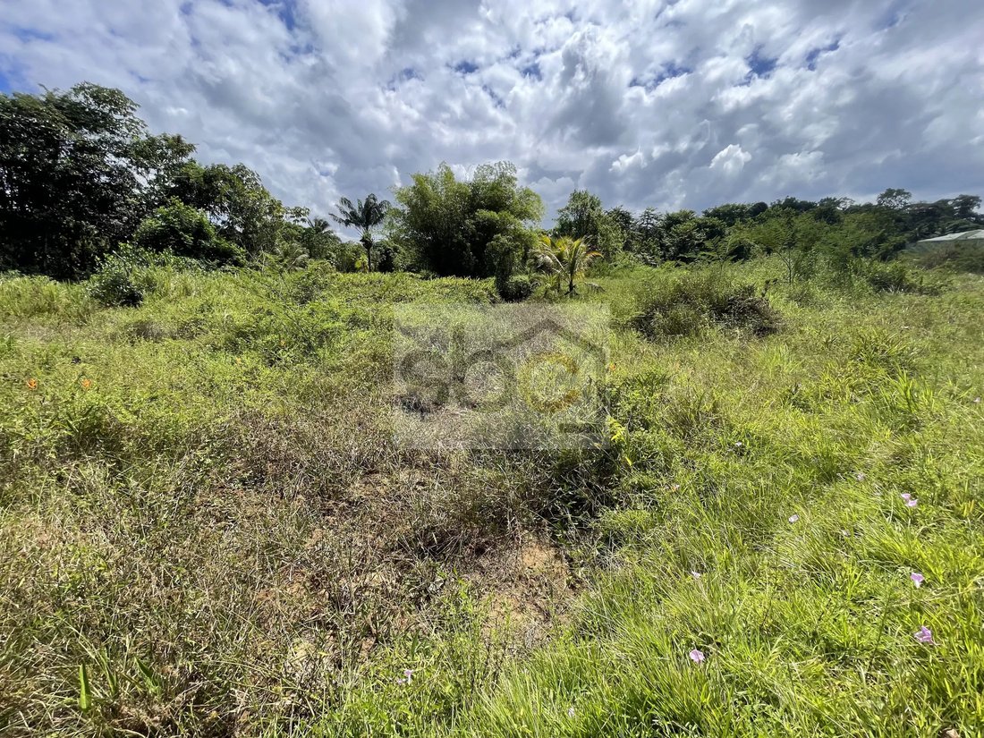 Land in Matoury, Arrondissement of Cayenne, French Guiana 5 - 16997080