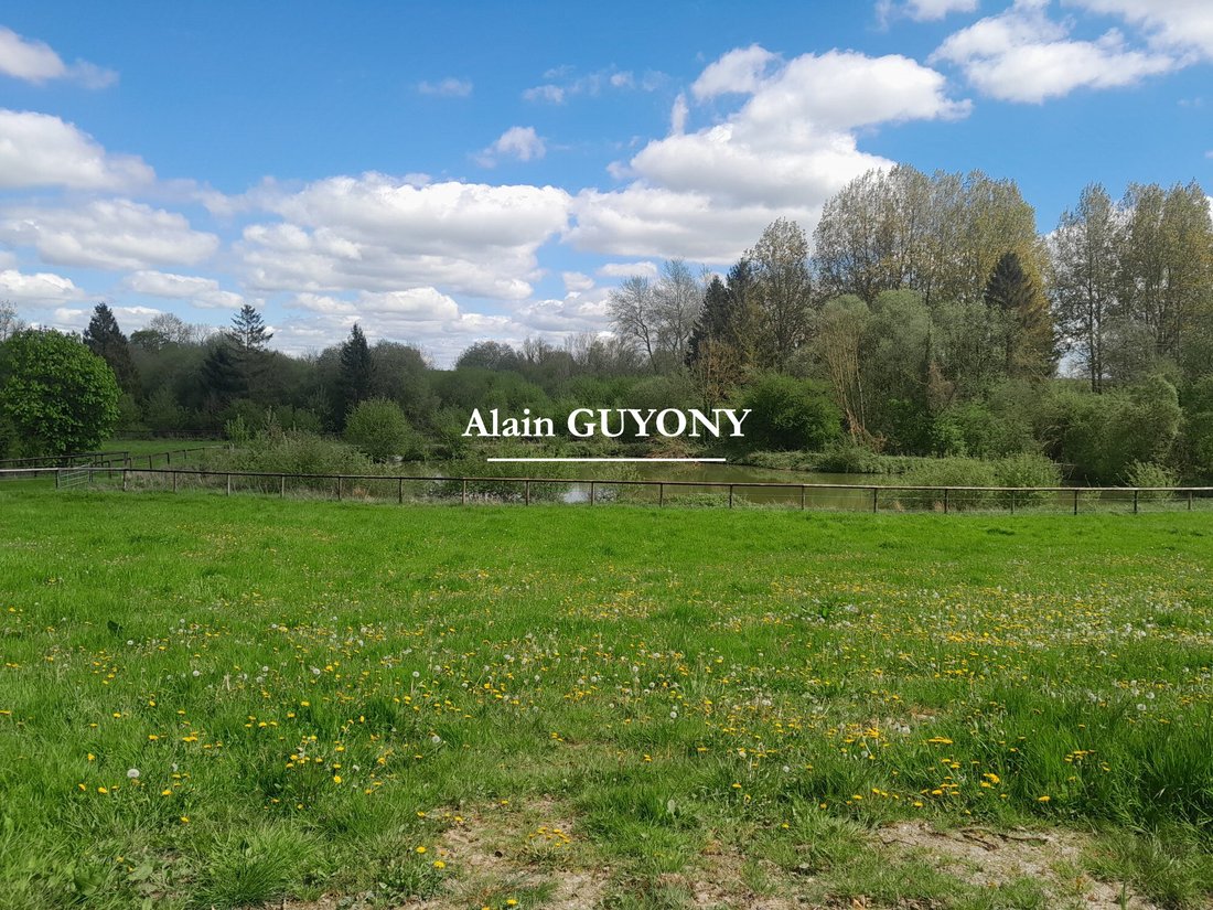 House in Goulet, Monts-sur-Orne, France 4 - 16998760