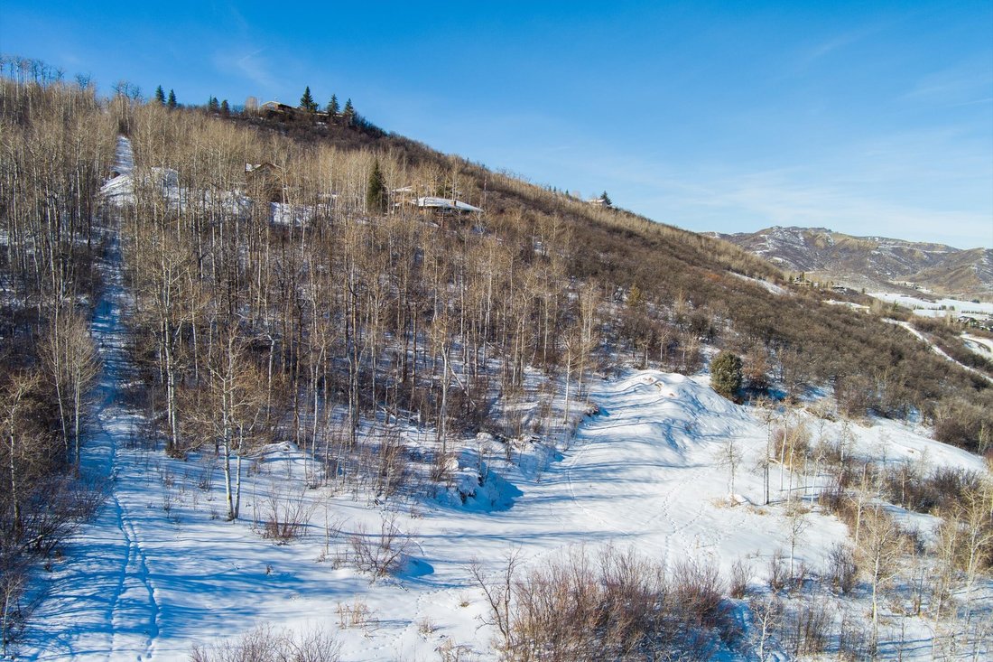 Land in Aspen, Colorado, United States 2 - 16987424