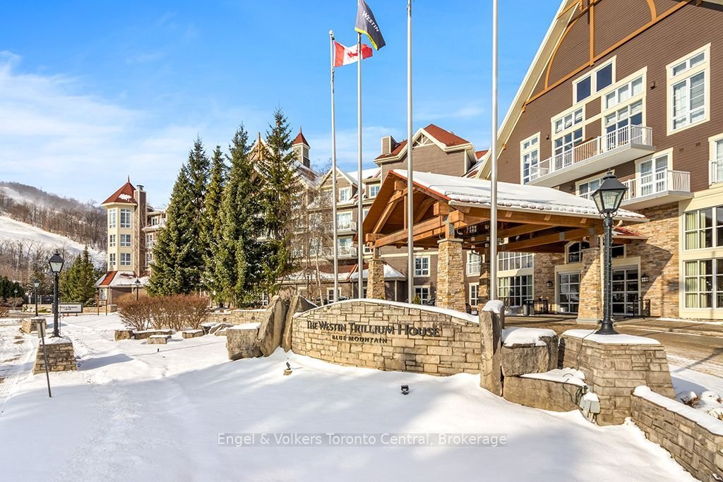 Condo in Blue Mountains, Ontario, Canada 1 - 16993228