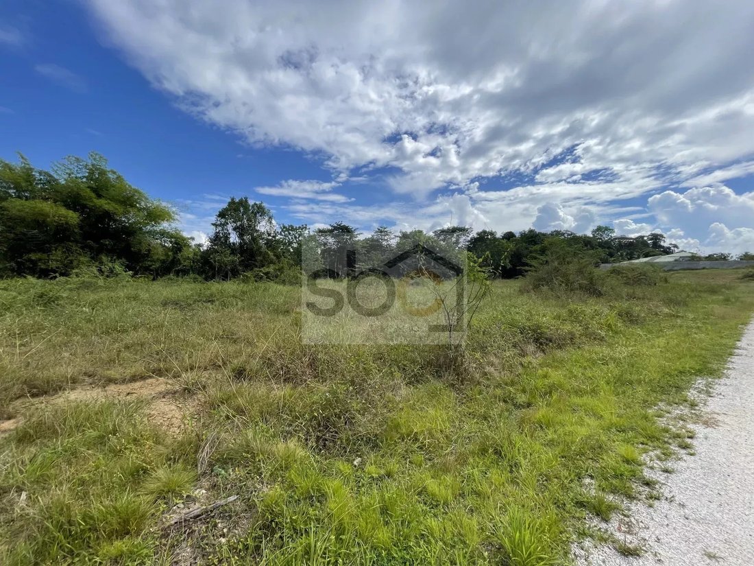 Land in Matoury, Arrondissement of Cayenne, French Guiana 3 - 16997080