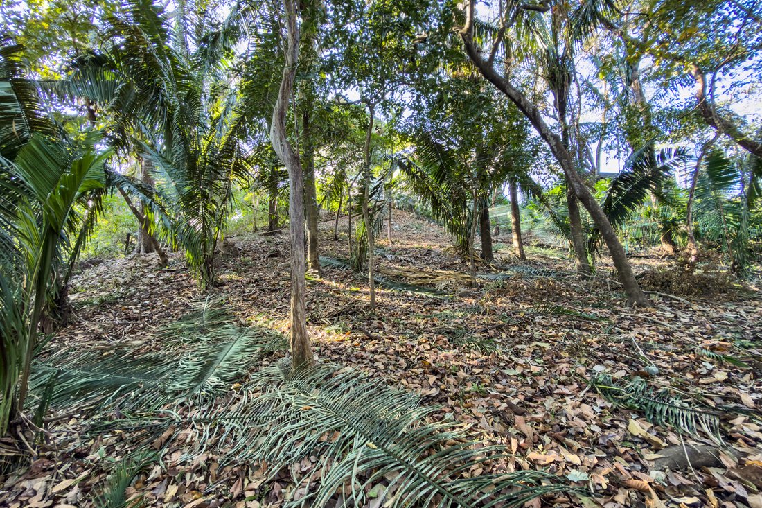 Land in Nosara, Nicoya, Costa Rica 1 - 16996377