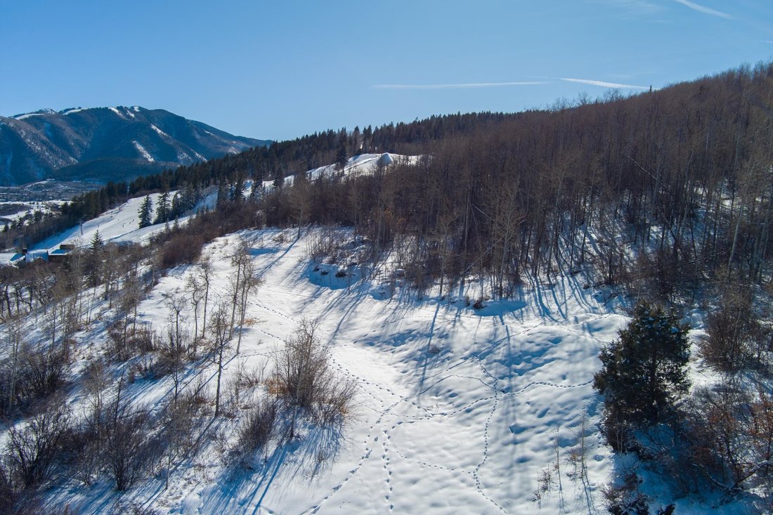 Land in Aspen, Colorado, United States 3 - 16987424