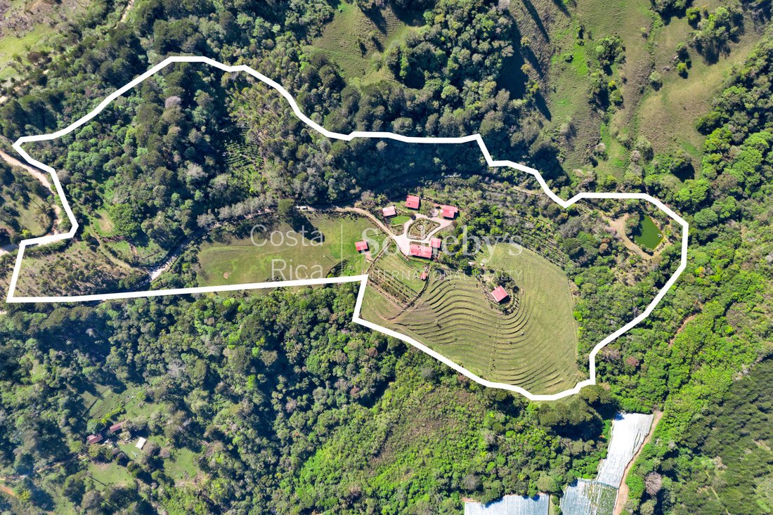 Farm Ranch in El Tejar del Guarco, El Guarco, Costa Rica 5 - 16987409