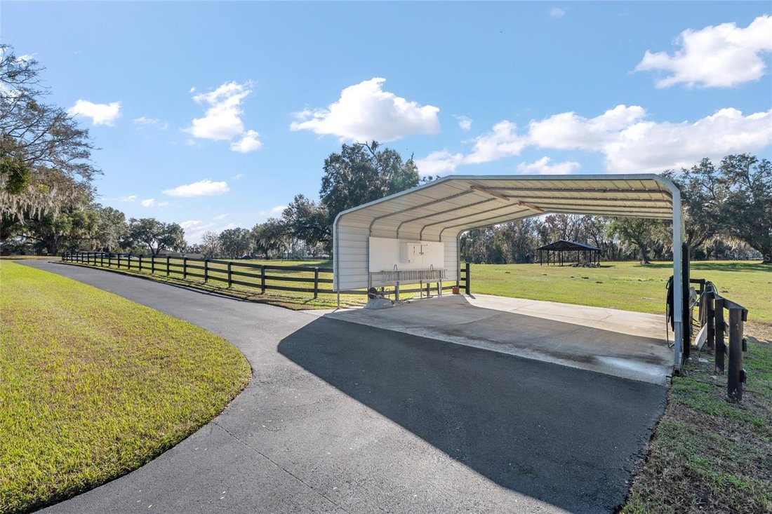 Farm Ranch in Morriston, Florida, United States 4 - 17002828